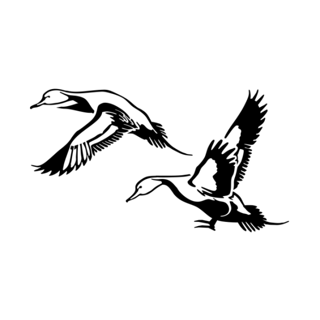 Setting Pintail Decal