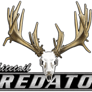 Large Color Whitetail Predator Decal