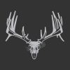 Whitetail European Skull Whitetail Window Decal