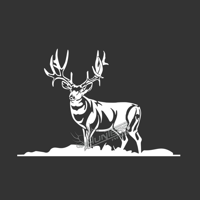 sm61.ai_BG-Black_White.jpg